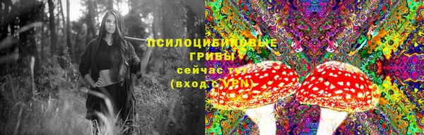 MESCALINE Сясьстрой